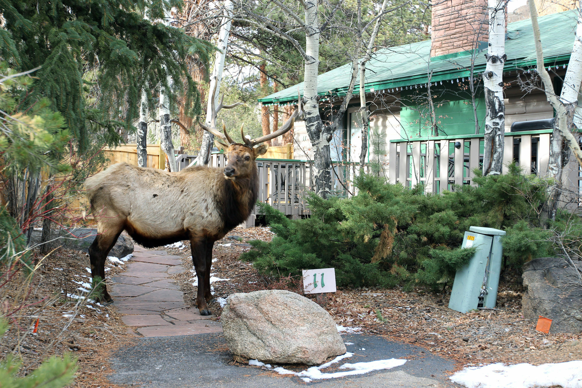 Sunnyside Knoll Resort Estes Park Extérieur photo